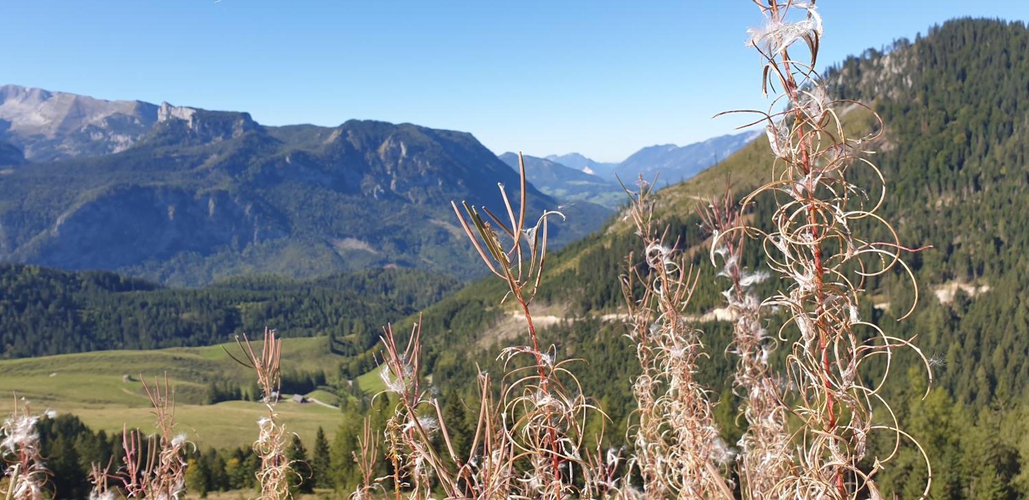 Ferienhaus Mountain View Spital Am Pyhrn Zewnętrze zdjęcie