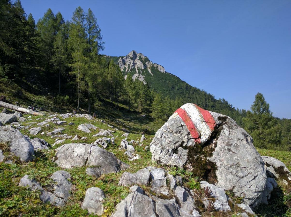 Ferienhaus Mountain View Spital Am Pyhrn Zewnętrze zdjęcie