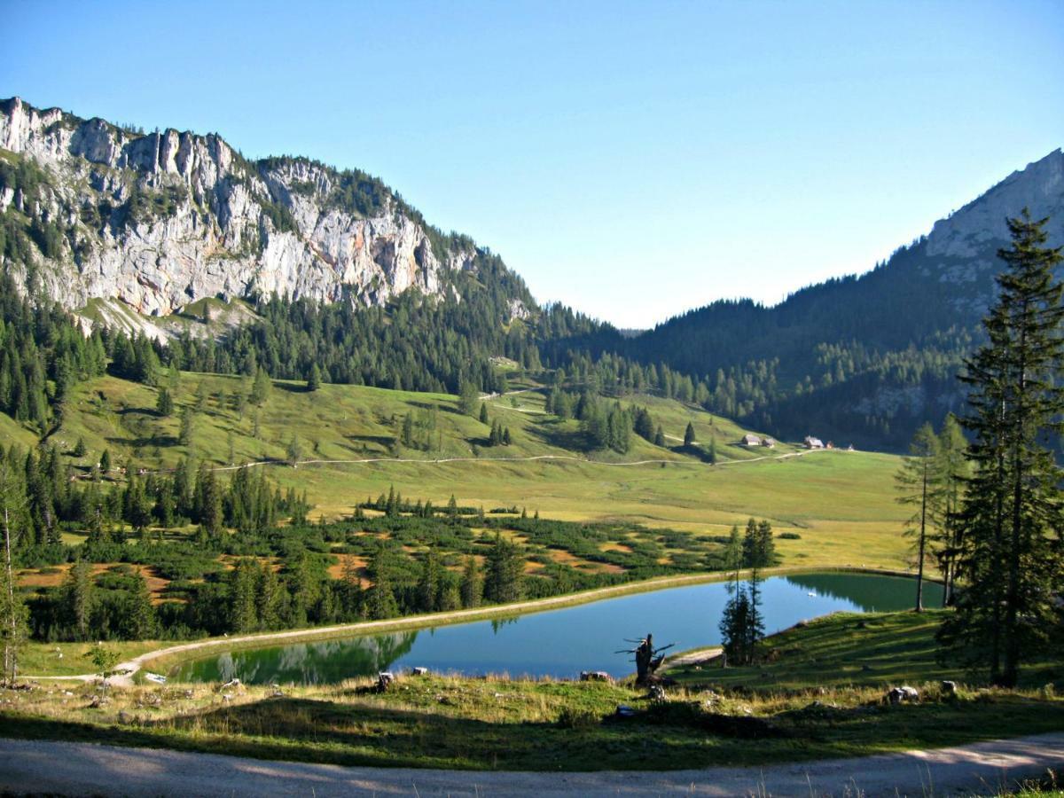 Ferienhaus Mountain View Spital Am Pyhrn Zewnętrze zdjęcie